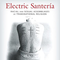 Electric Santeria by Aisha M. Beliso-De Jesús